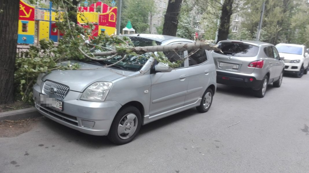 Улица Васи Алексеева